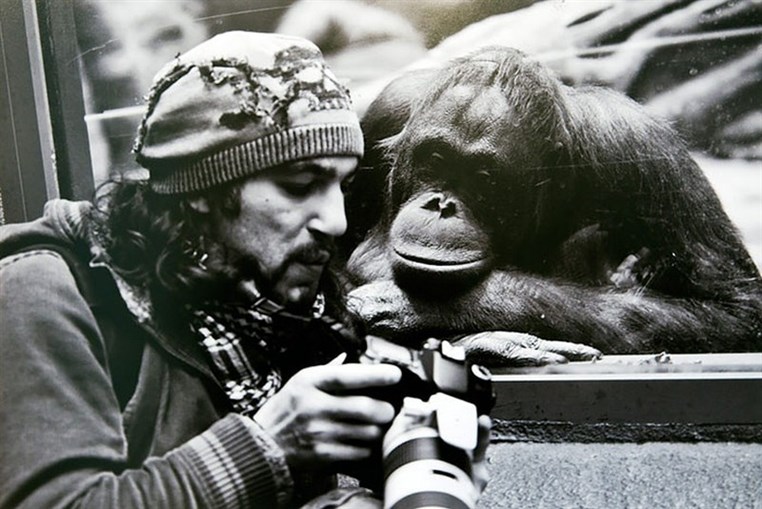 Crazy photographers who will do ANYTHING for the perfect shot